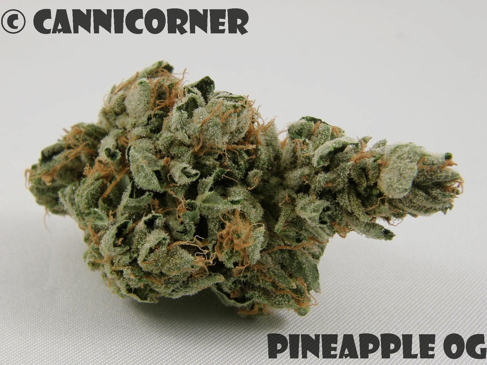 CanniCorner Pineapple OG (Pineapple Kush x OG Kush)