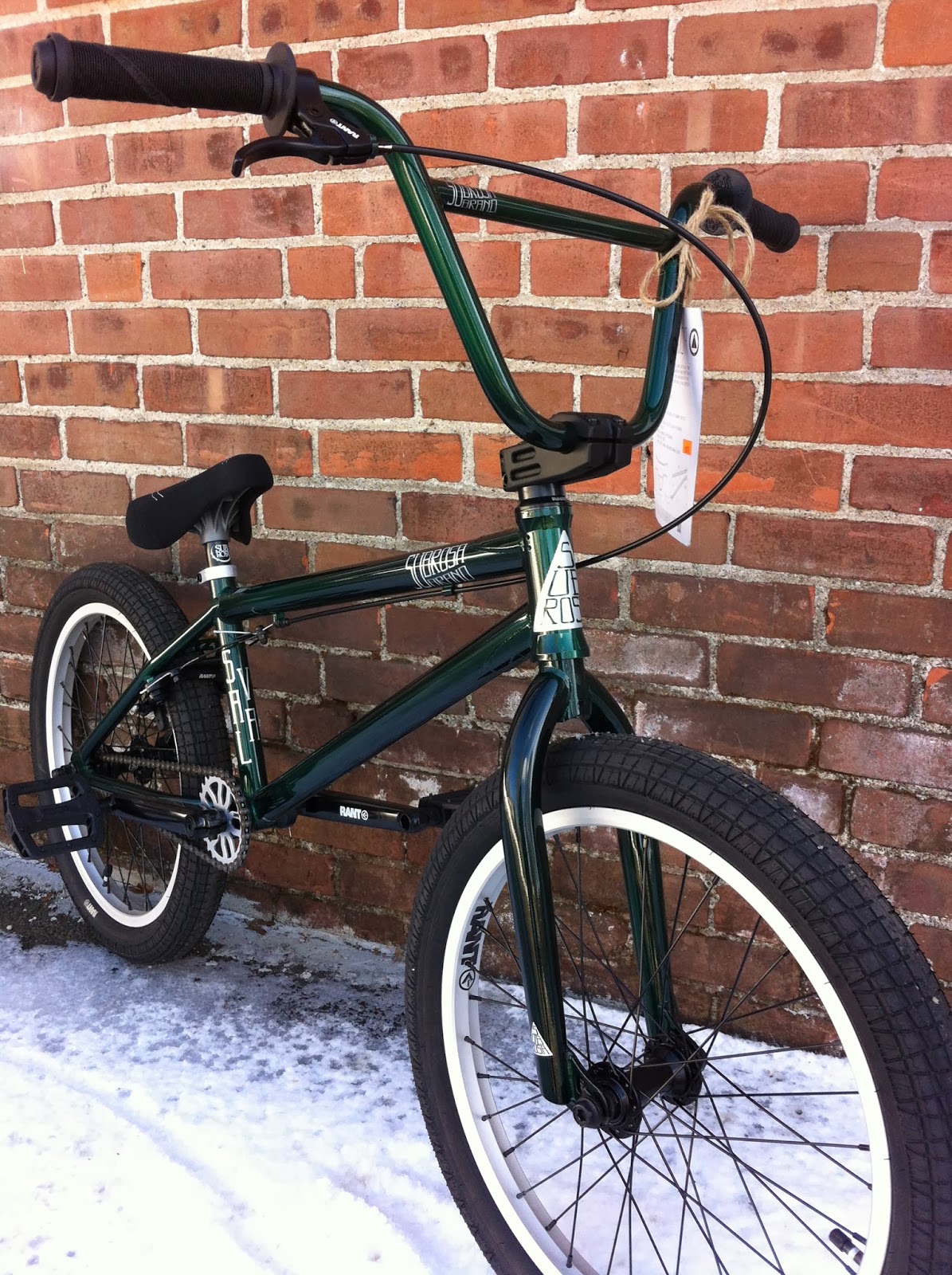 subrosa gucci