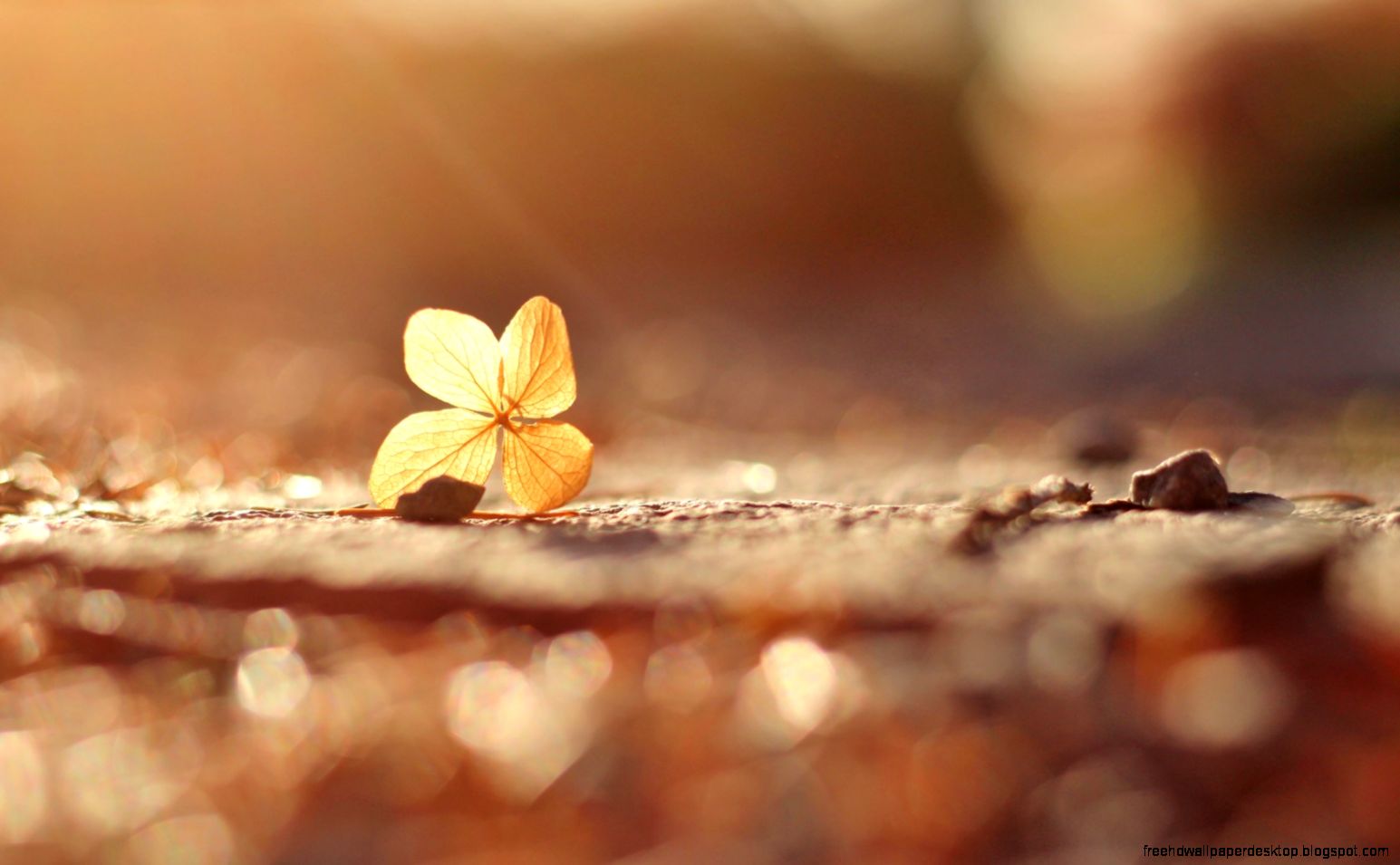 Girl In Sun Rays 7003757 Girl In Sun Rays 7003757