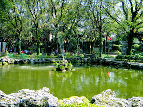 Pond in Aletheia University Yard Tamsui