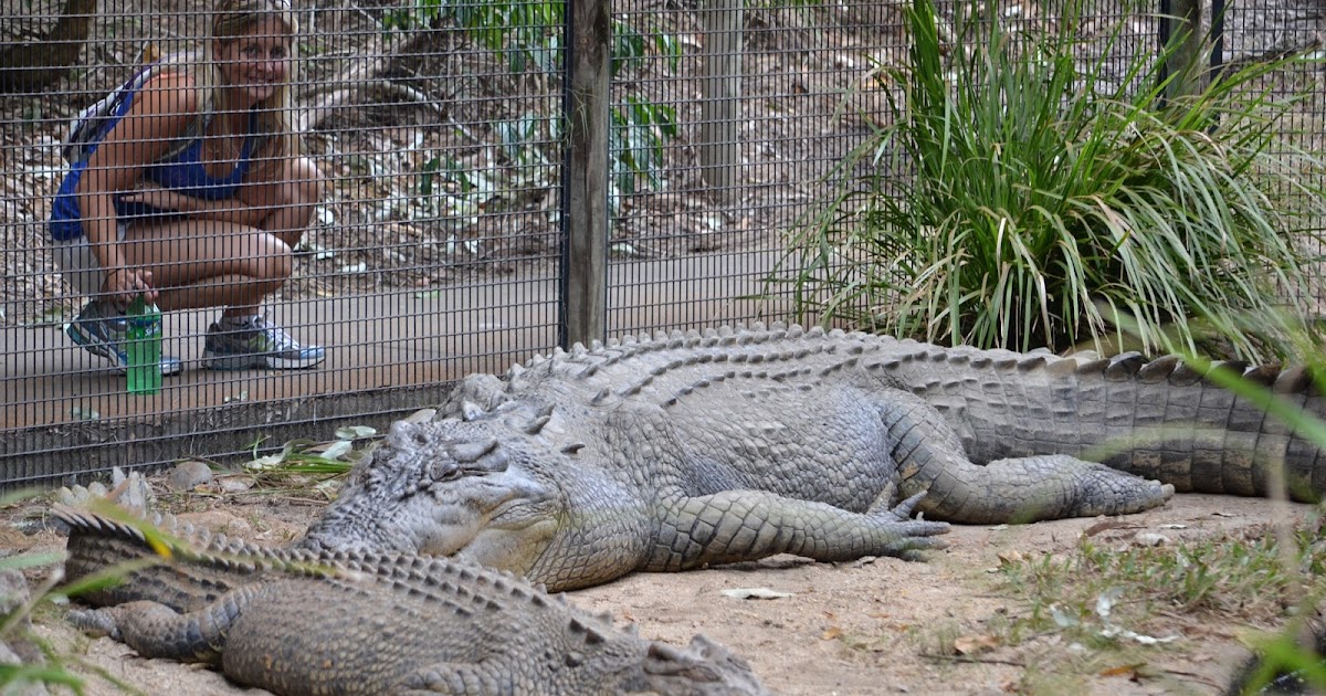 Our New Zealand Adventures: Hartley's Crocodile Adventures