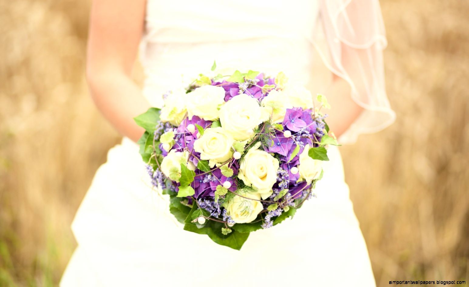 Bride HD WallpapersWidescreen Hd Desktop Background Bride HD WallpapersWidescreen Hd Desktop Background