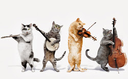 Folk cats