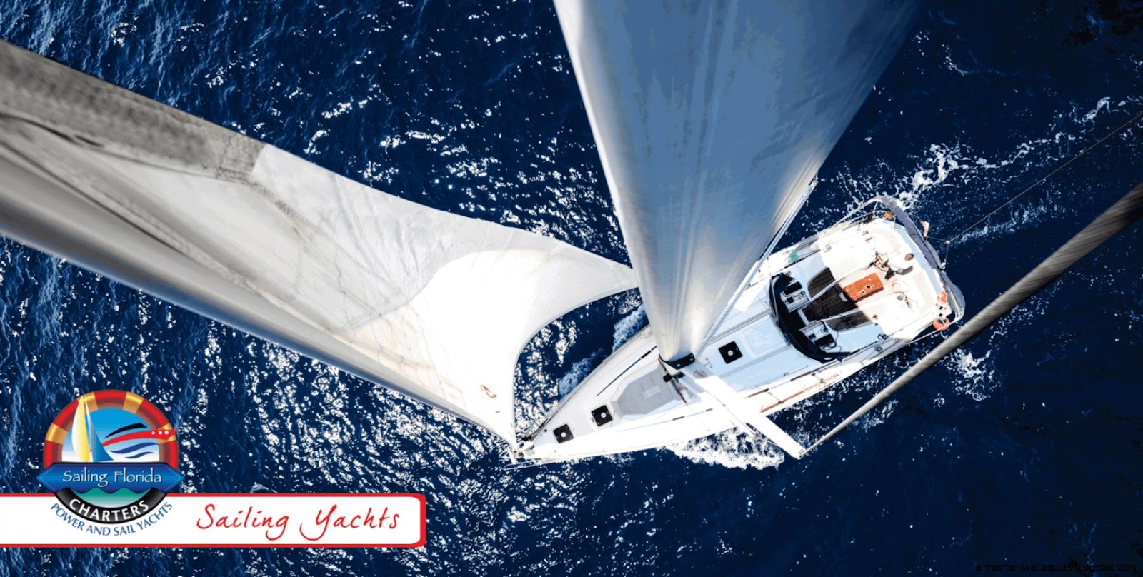 St Petersburg Tampa Bay Sailing Yacht Fishing St Petersburg Tampa Bay Sailing Yacht Fishing