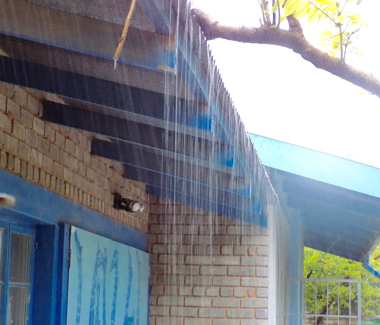 Tagebuch Von Lis Hidber 2018