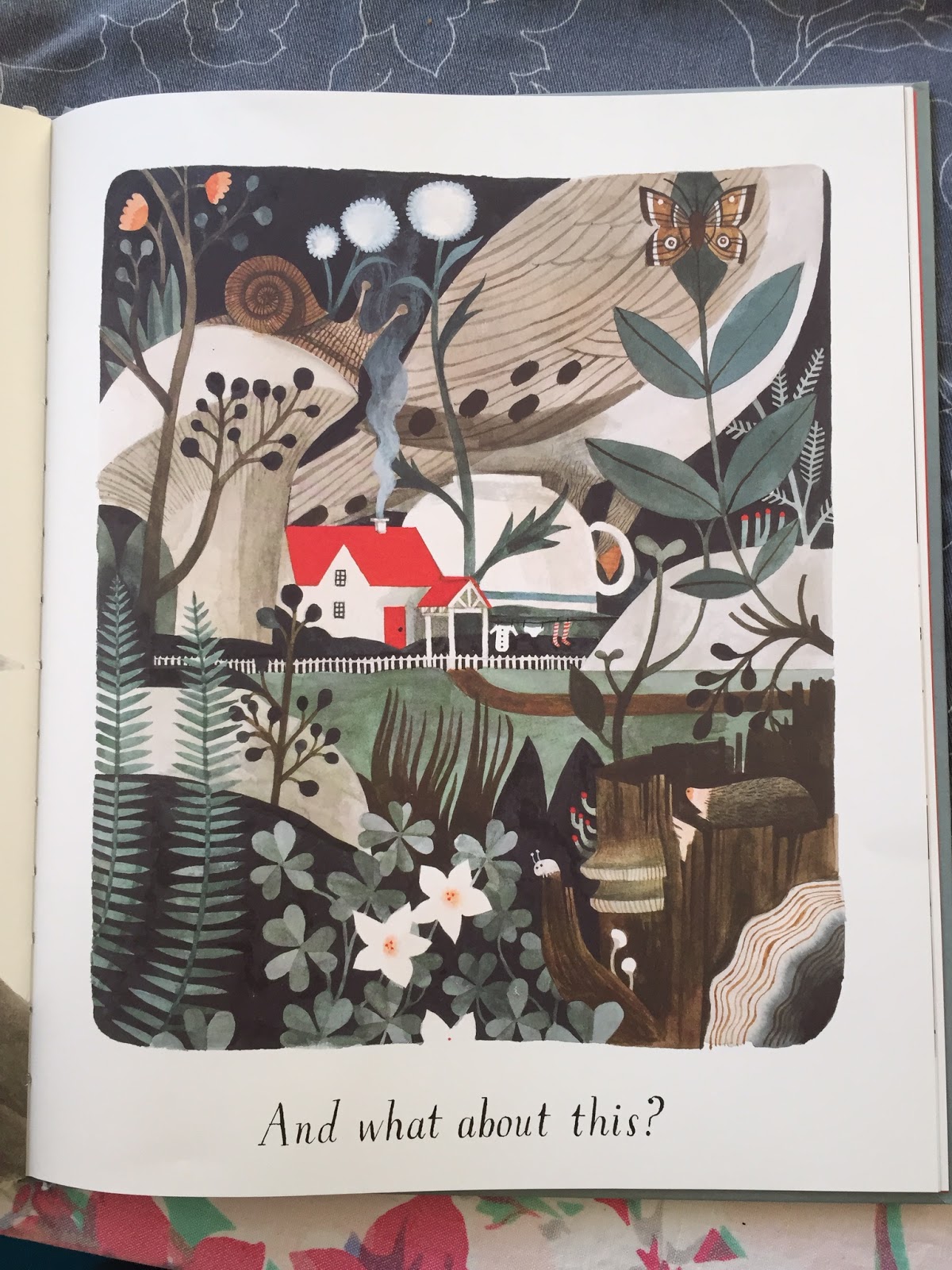 Pippa's Home by Carson Ellis