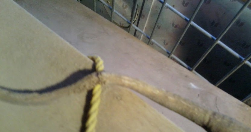 Herding cats: Broken tail?