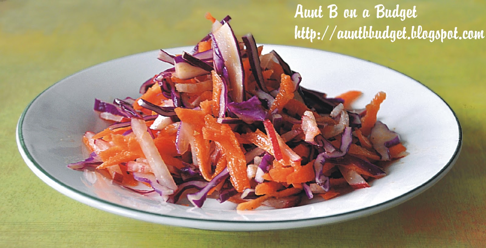 Aunt B on a Budget Colourful Coleslaw with Honey Mustard Vinaigrette