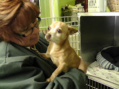 1/23/12   Max Needs Rescue or Adopter