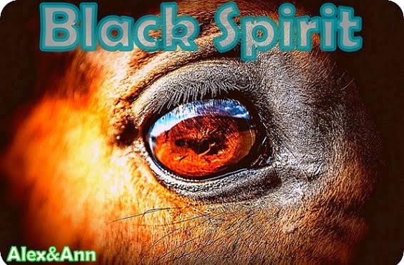 Wirtualna Stadnina Koni Sportowych "Black Spirit" 