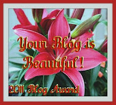 Beautiful blog award