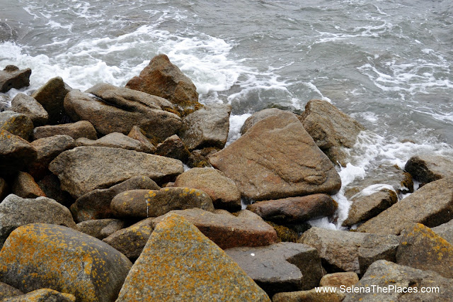 Wild Wicklow Tour in Dublin