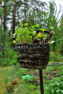 Muonamiehen mökki - Erilainen linnunpelätti