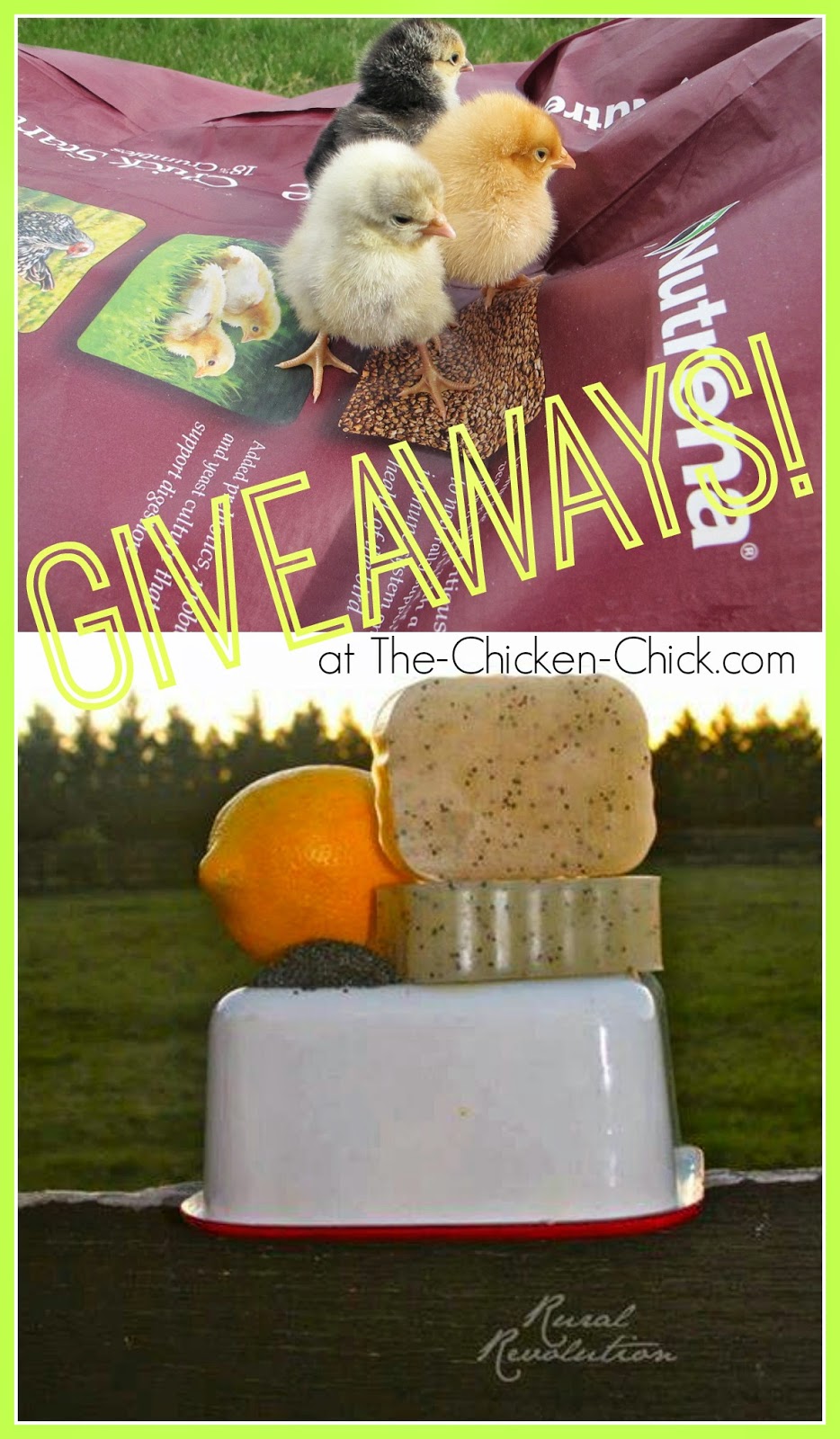 clever chicks blog hop clever chicks blog hop