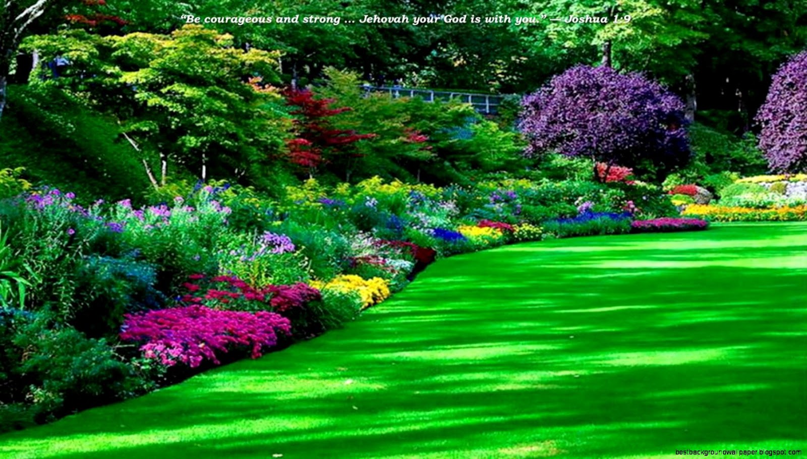 Beautiful Green Park Beautiful Green Park