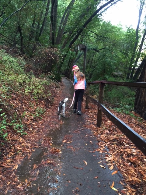 Villa Montalvo Hiking Trails Hike Til Dawn : #Hike48 (11/15/15) - Villa Montalvo Hiking Trails