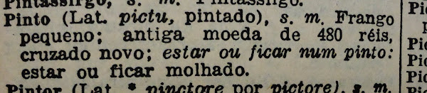 Entrada sobre os vários significados do nome PINTO, no "Dicionário da Lingua Portuguesa"