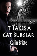 It Takes a Cat Burglar