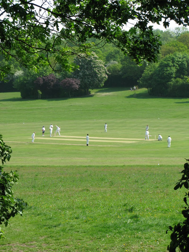 The+Rec+Cricket+pitch+langdon+Hills+Essex+1.jpg