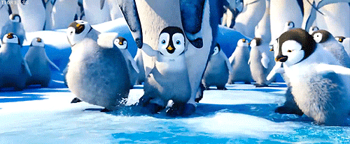 HAPPY FEET 2