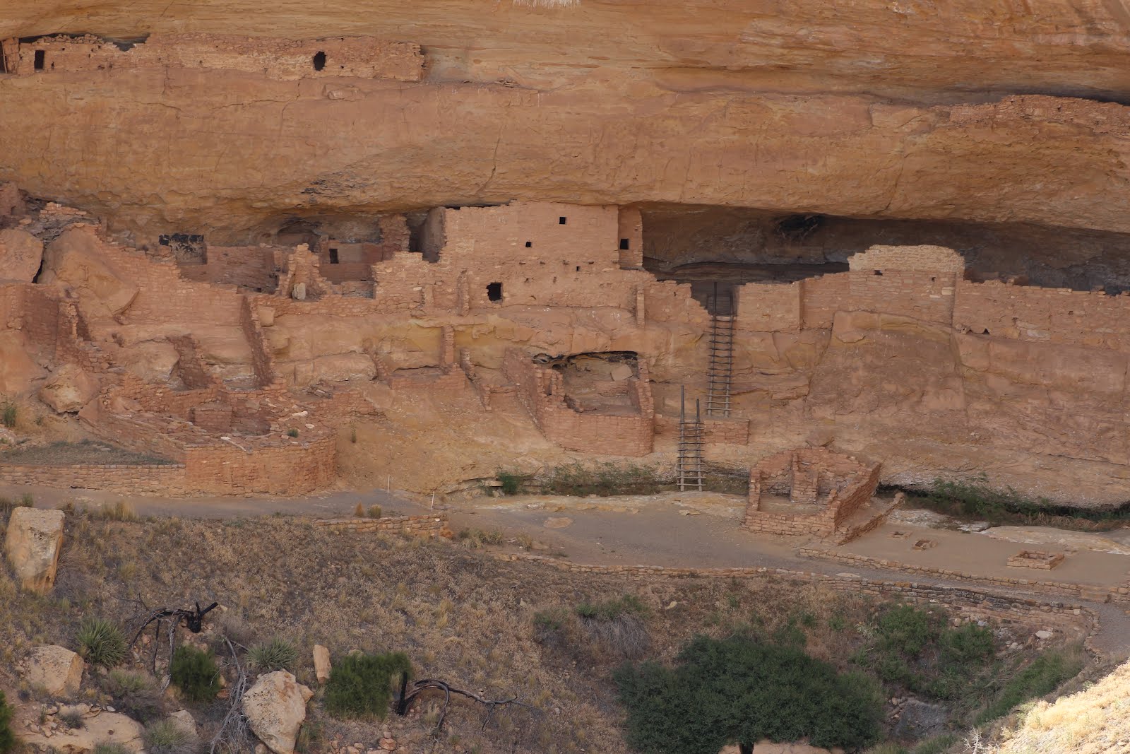 Nordenskiold/Badger House