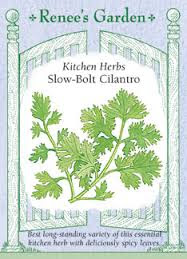 Celebrate the 2017 Herb of the Year-Cilantro!