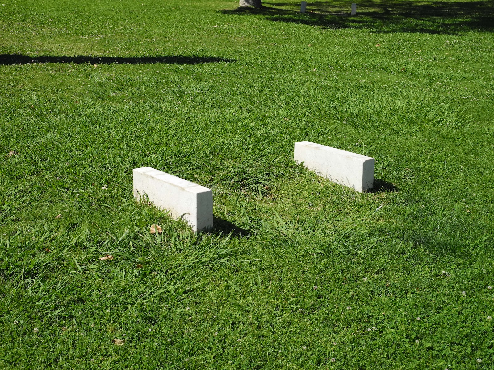 banco de jardim lisboa:assentos, os vários bancos de pedra na Praça de Londres, no jardim banco de jardim lisboa:assentos, os vários bancos de pedra na Praça de Londres, no jardim