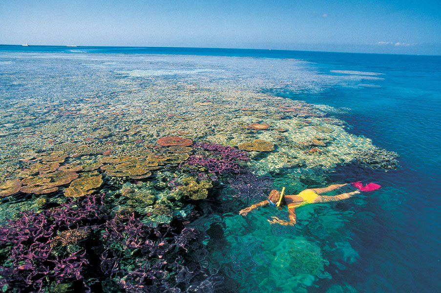 Most Amazing Facts About Wonders of the Great Barrier Reef