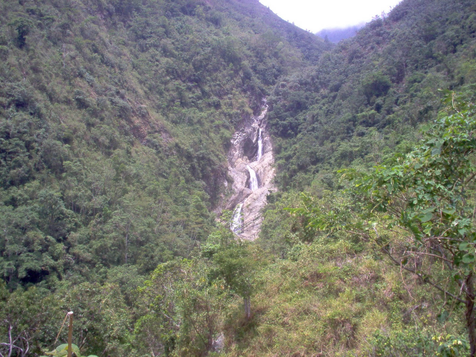 SANTA CRUZ DE MORA, Historia y Variedades. ALBUN DE FOTOS