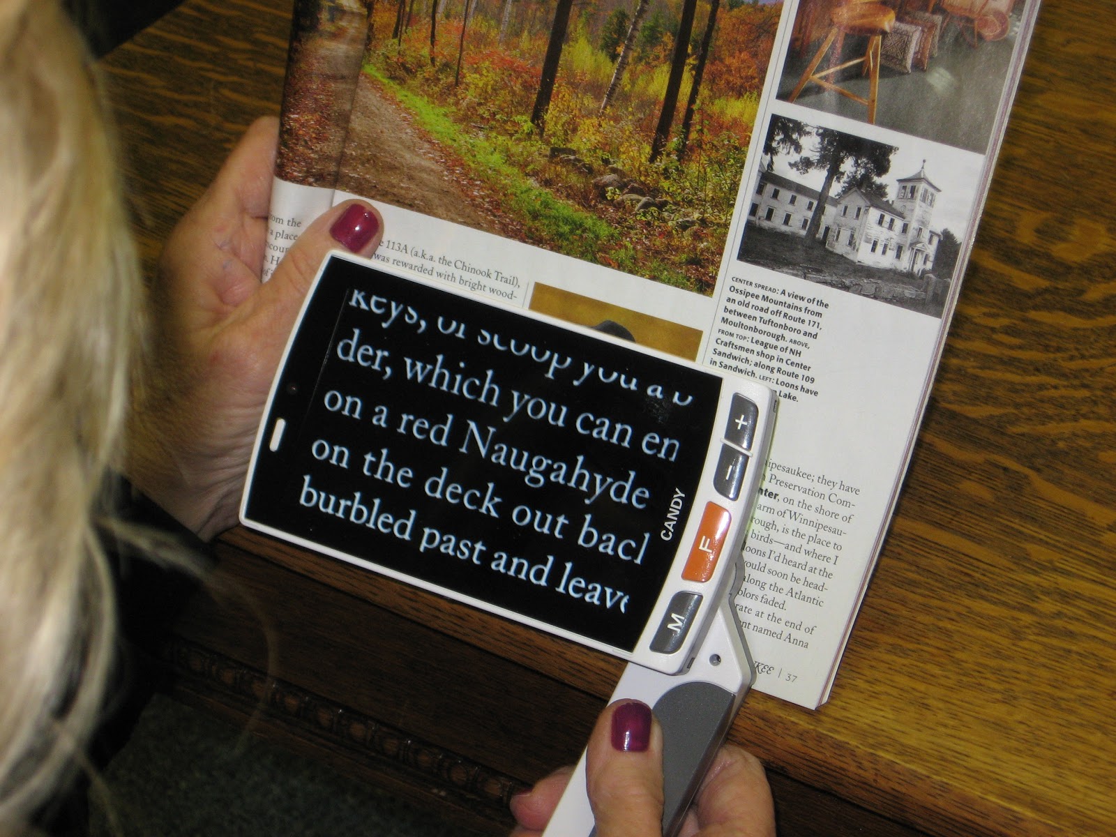 Low Vision Eyeglasses Macular Degeneration Low