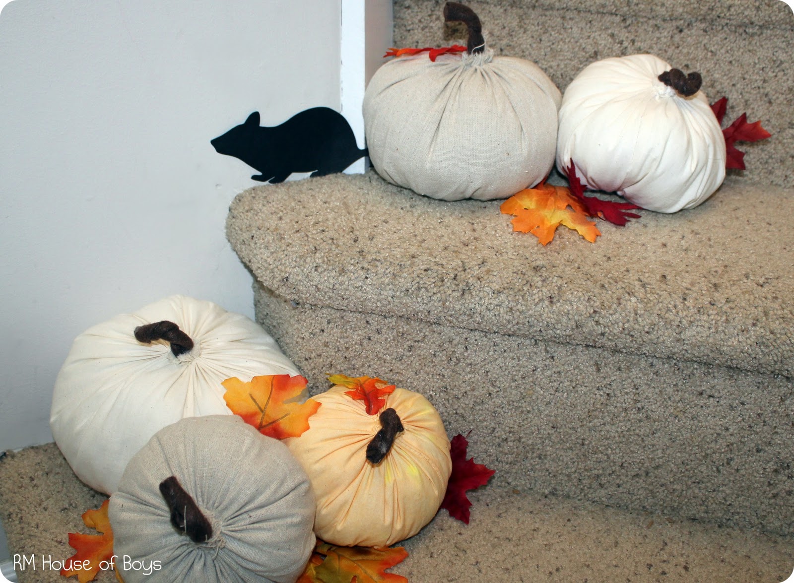 House of Noise... I mean boys. Pumpkins and Creepy Mice