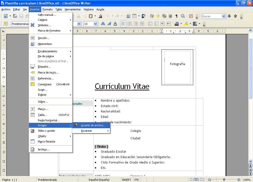 Pickingupmymat 21 Luxury Curriculum Vitae Basico Plantilla Word