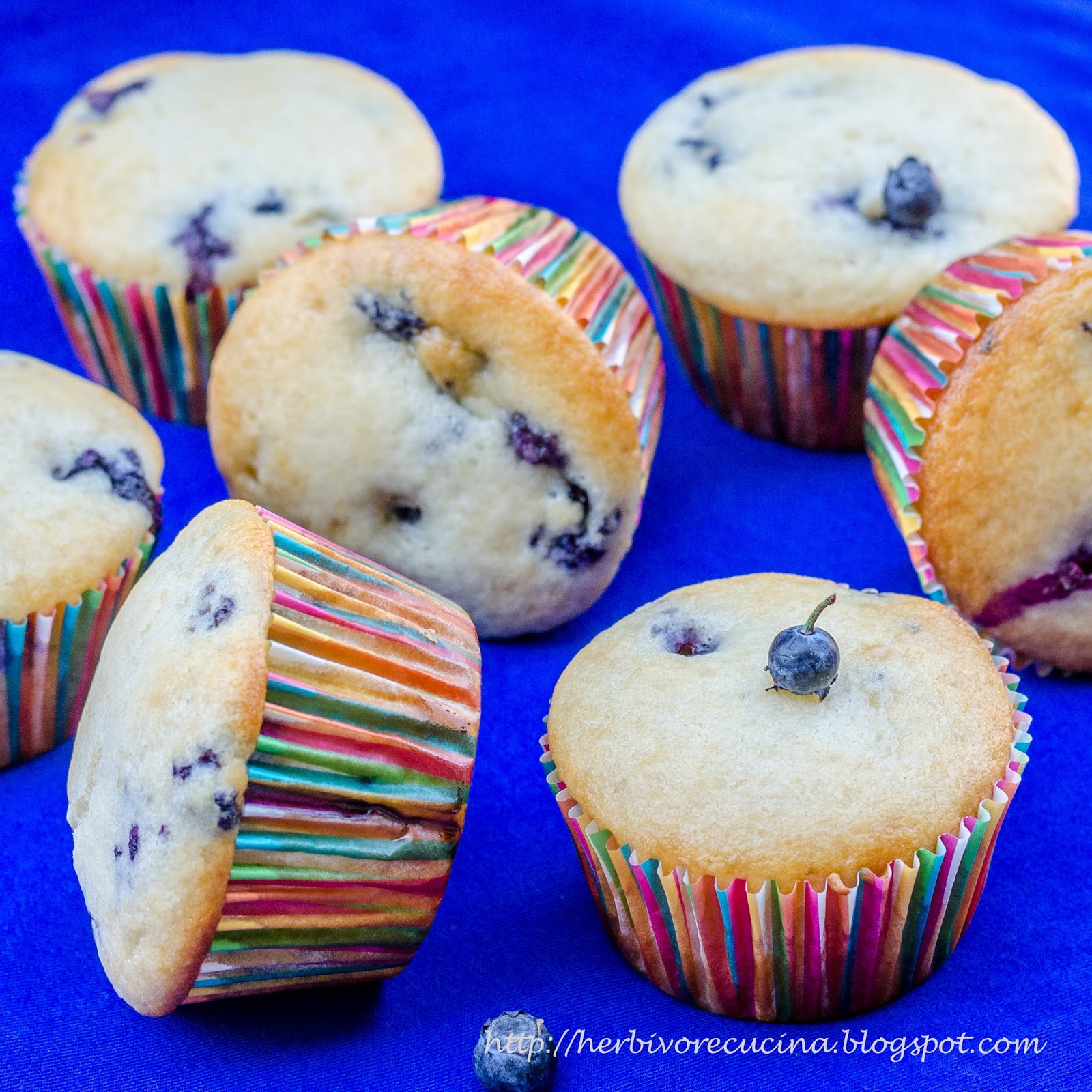 Herbivore Cucina Eggless Blueberry Yogurt Muffins