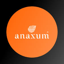 Collaborazione Anaxum