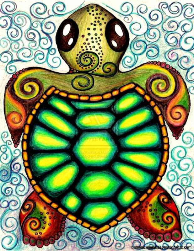 Baby Sea Turtles Drawings  Amazing Wallpapers Baby Sea Turtles Drawings  Amazing Wallpapers