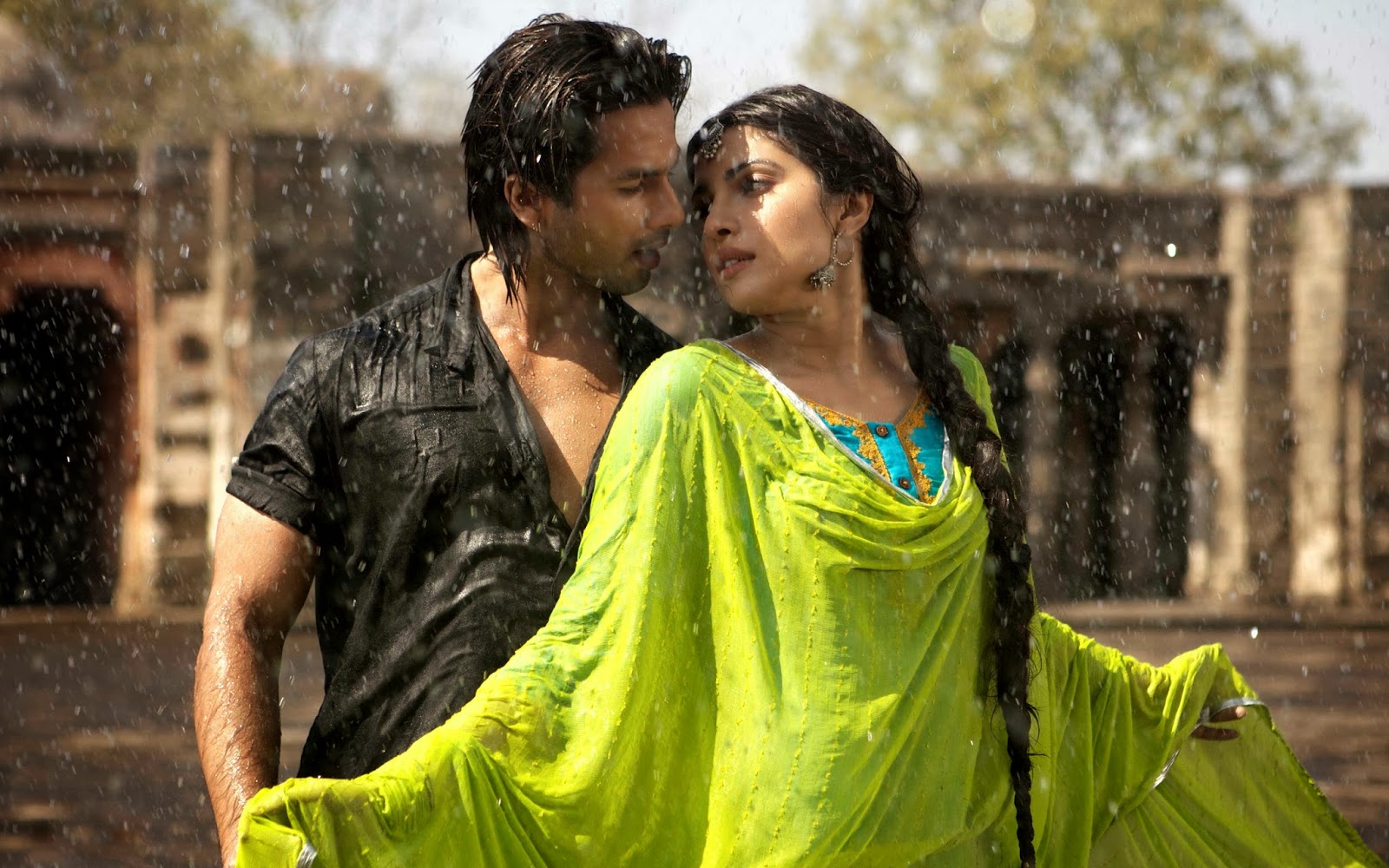 Shahid Kapoor & Priyanka Chopra Couple Free HD Wallpapers Download 