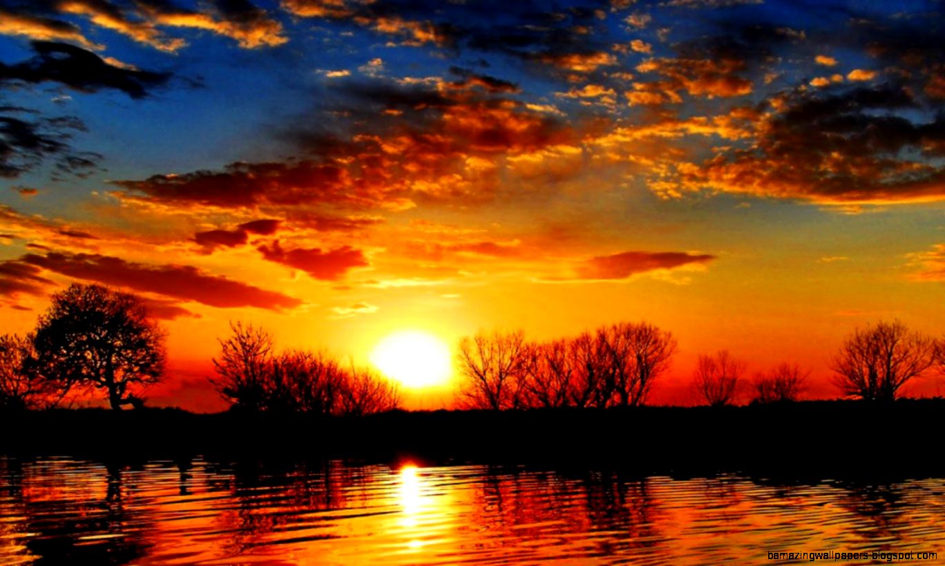 Muhammad Nouman Ali sheroz Awais iqbal Talha Mohsin Riaz sunset Muhammad Nouman Ali sheroz Awais iqbal Talha Mohsin Riaz sunset