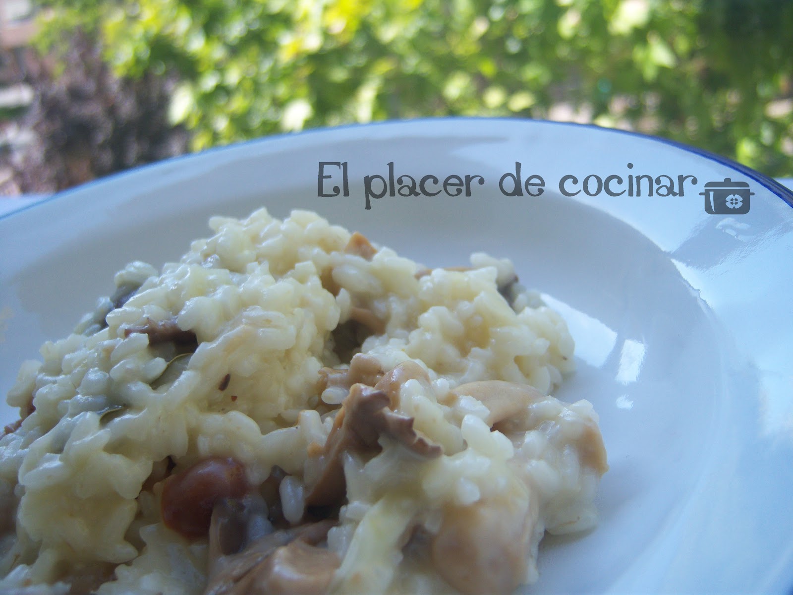 EL PLACER DE COCINAR RISOTTO CON SETAS Y QUESO AZUL