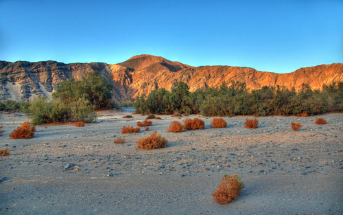 نقره لتكبير أو تصغير الصورة ونقرتين لعرض الصورة في صفحة مستقلة بحجمها الطبيعي