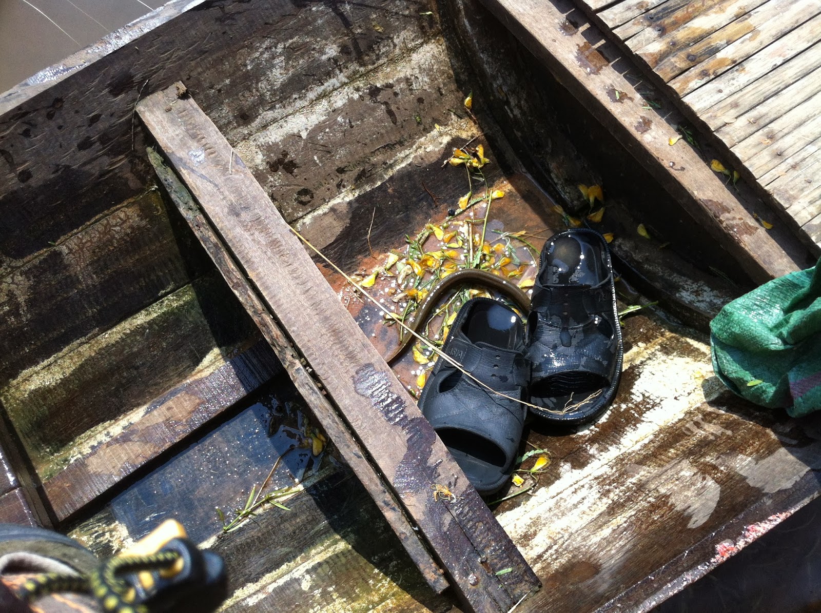 LOCATION Cambodia Snake Inside The Boat, Snakes Outside The Boat