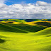 Foto gras landschap met heuvels