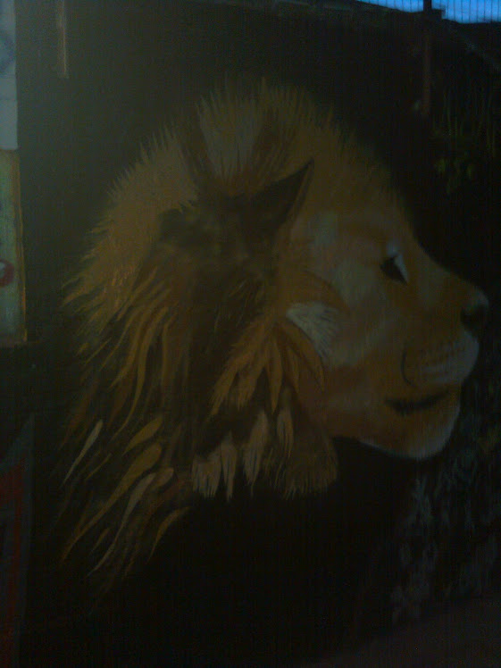 leeuw in het donker