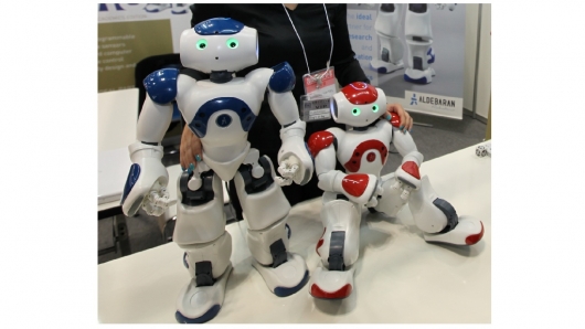 nao next gen