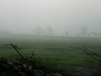 click na foto mais fotos do campestre, (manhã de nevoeiro (fev 2011)
