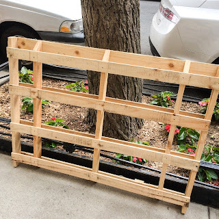 The Lazy Man's Vertical Pallet Garden | Brooklyn Limestone