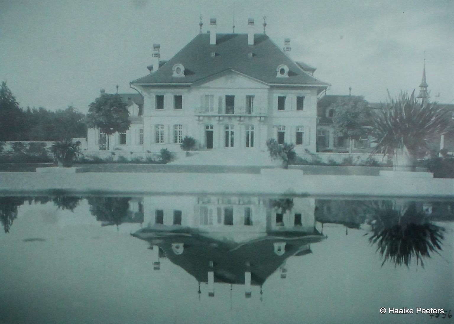Swiss Centre for Global Dialogue (Le petit requin)