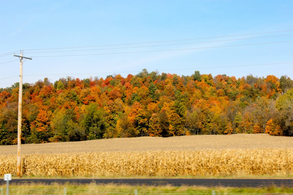 KEEP CALM AND CARRY ON MARMON VALLEY FARMHORSEBACK RIDING