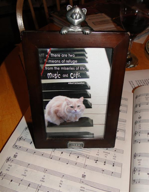 Music and Cats