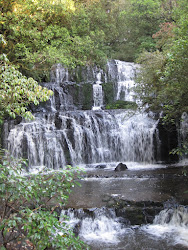 Pūrākaunui Waterfalls, The Catlins