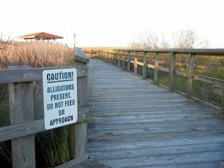 Alligator warning signs at the Brazoria National Wildlife Refuge Alligator warning signs at the Brazoria National Wildlife Refuge